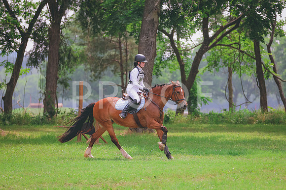 JC5_0705A
