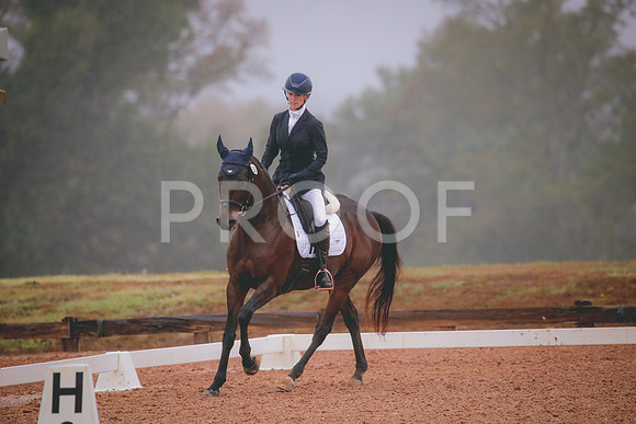 RWP_0841