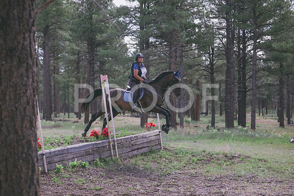 JAS_7153