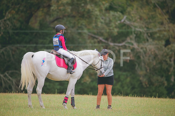 RWP_3773
