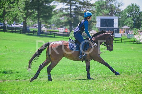 CRR_1537