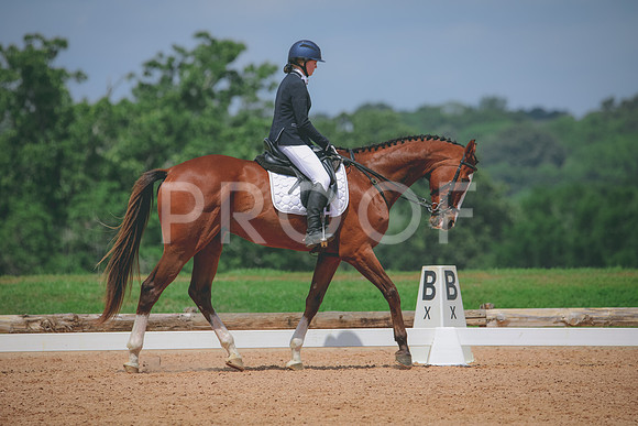 RWP_4447