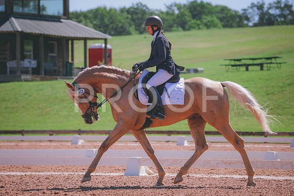 RWP_9874
