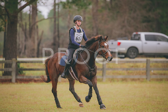 RWP_2723