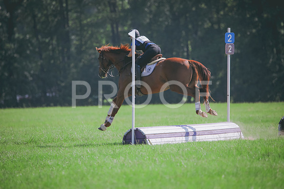 RWP_6487