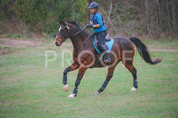JJS_2114