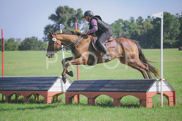 RWP_6336