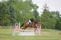 3T5A2026