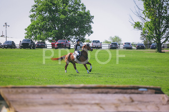 0N0A0706
