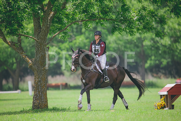 RWP_3116