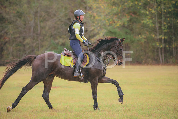 RWP_3384