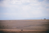 JJS_1419