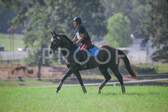 RWP_6438