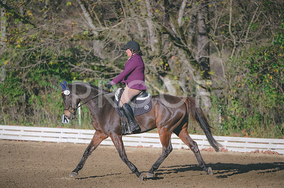 JJS_4638
