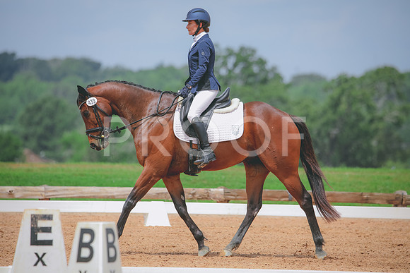 RWP_4564