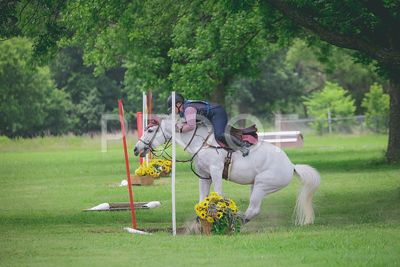 RWP_2791