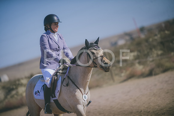 JJS_3581