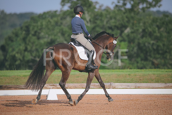 RWP_4386