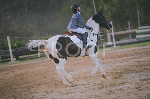 JJS_4336