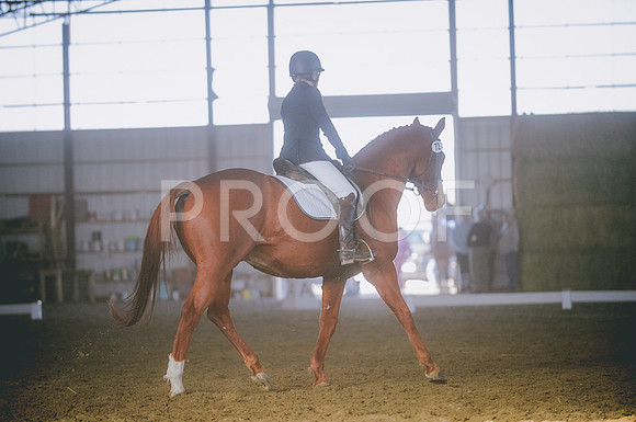 JJS_3138