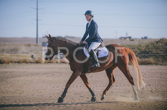 JJS_8294