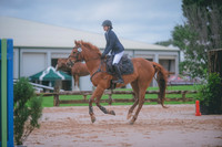 000_0242