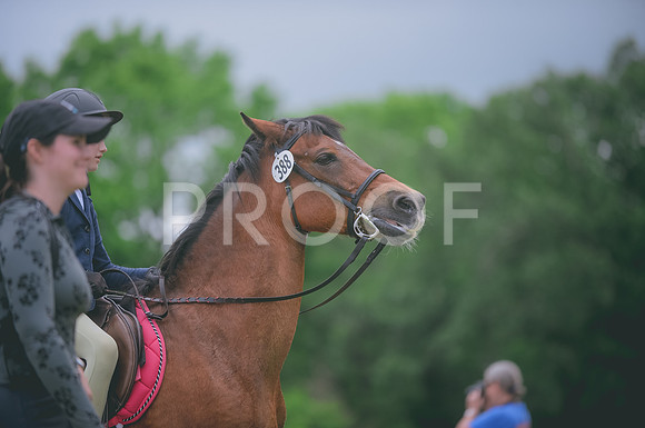 000_3763 copy