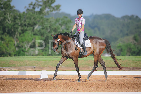 RWP_4340