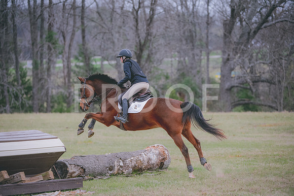 JJS_0431