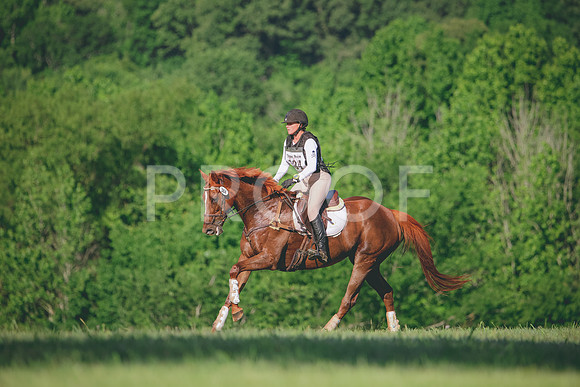 RWP_2132