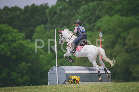 RWP_2763