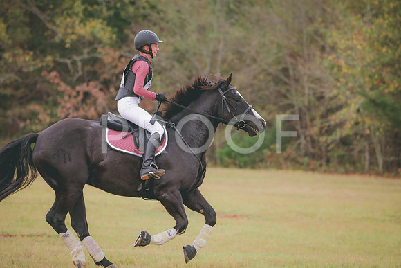 RWP_3796