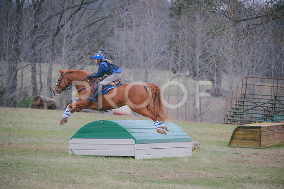 JJS_0843