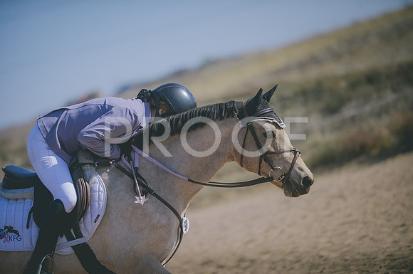JJS_3593