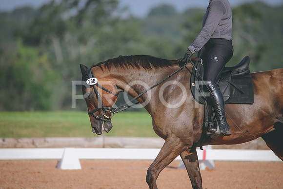 RWP_4522