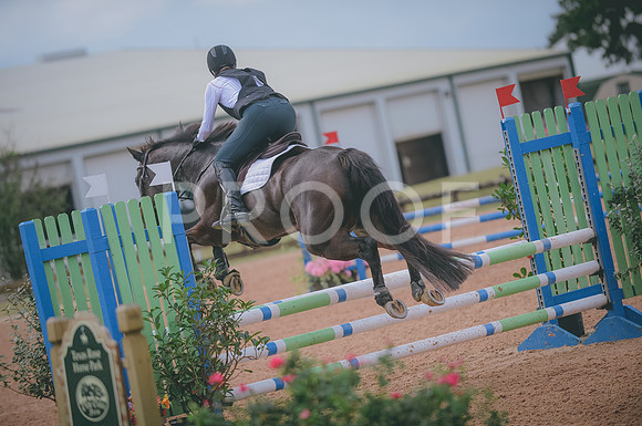 JJS_0030