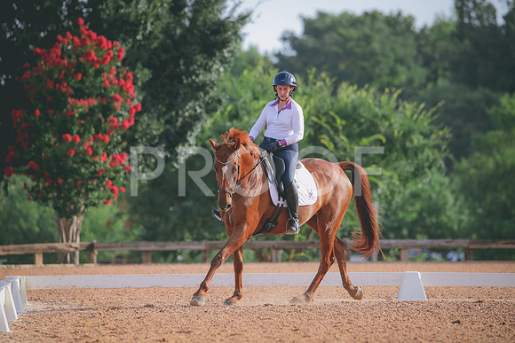 RWP_4279