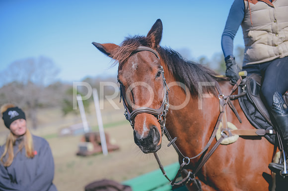 JJS_0342