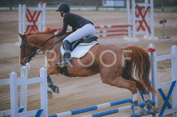 JJS_2218