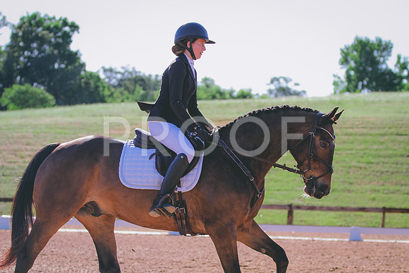 IMG_9894