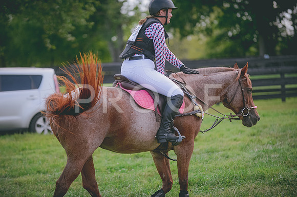 JJS_0190
