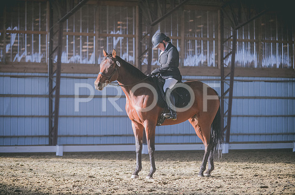 JJS_2014