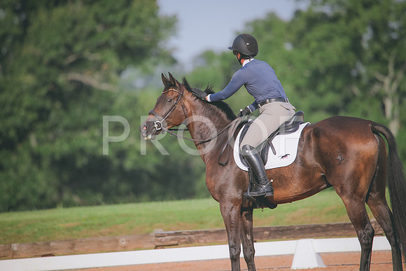 RWP_4412