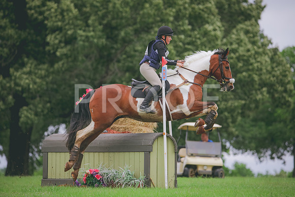 RWP_6017