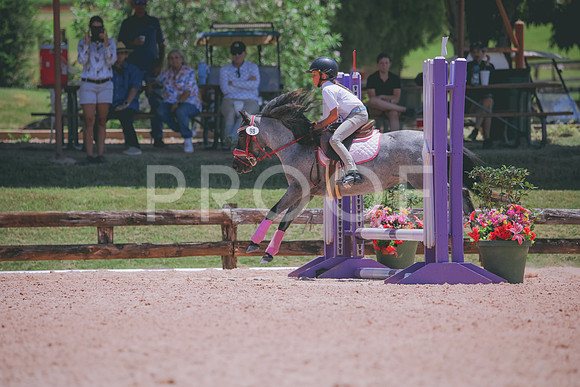 RWP_5835
