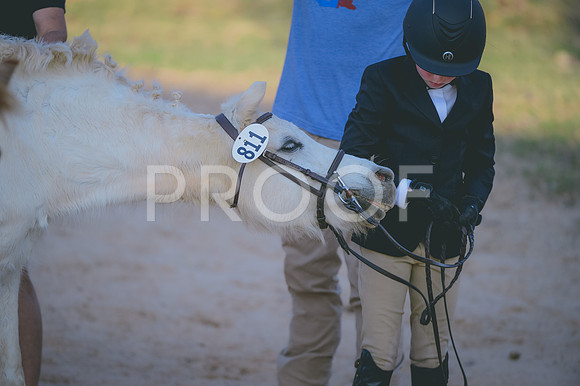 JJS_4754