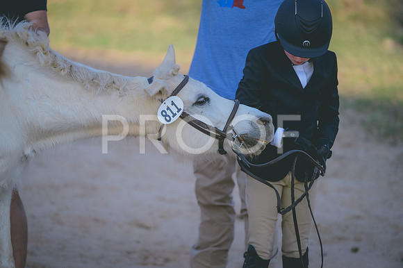JJS_4753