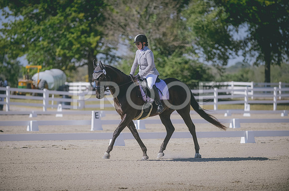 JJS_0653