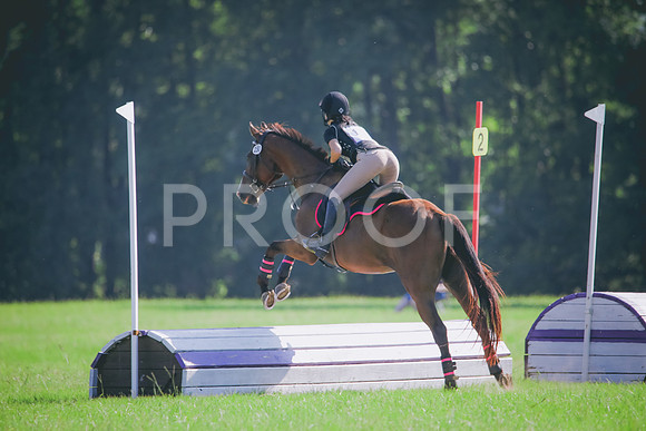 RWP_6273
