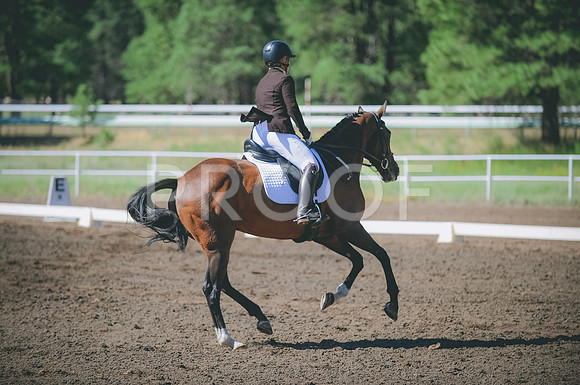 JJS_2927